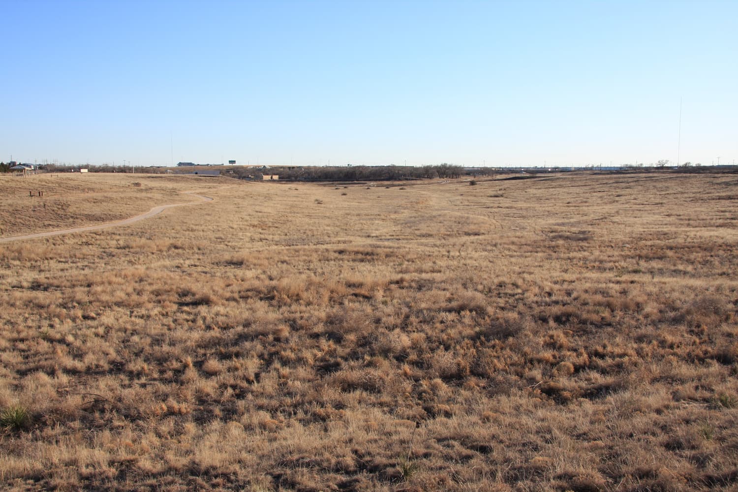 Grassland in Yellow House Draw at Lubbock Lake Landmark under a wide blue sky